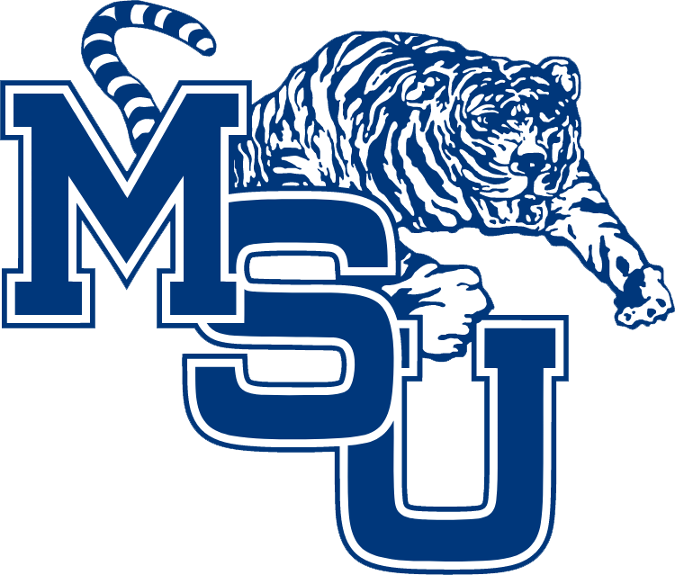 Memphis Tigers 1979-1989 Alternate Logo diy iron on heat transfer